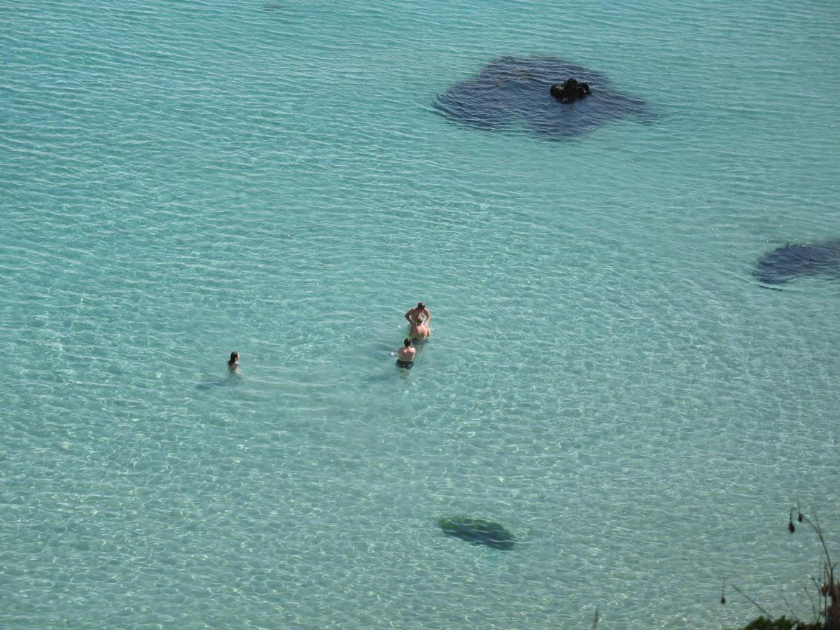 Le Cabestan, Appartement Proche Plage Morgat Crozon Dış mekan fotoğraf
